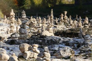 Forêt de cairns...